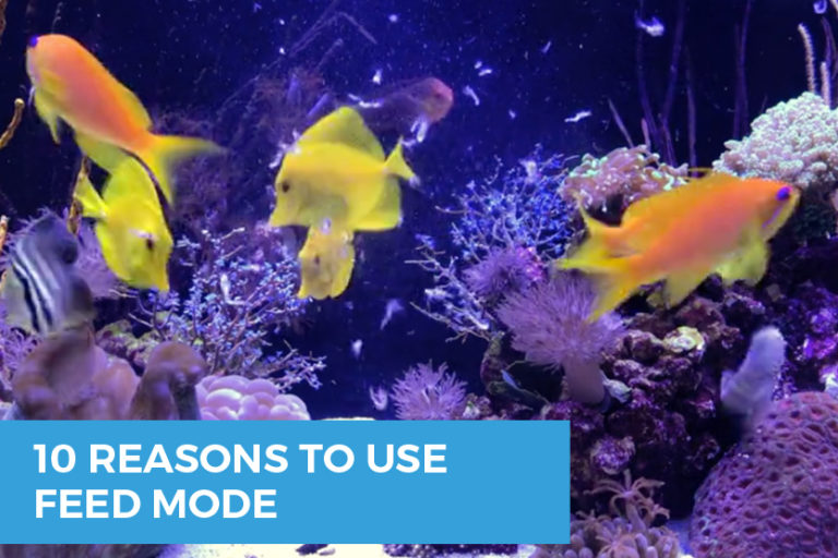 10 Reasons Hobbyists Use FEED Mode