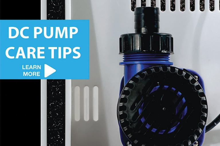 Maximize DC Pump Lifespan: Updated Care Tips