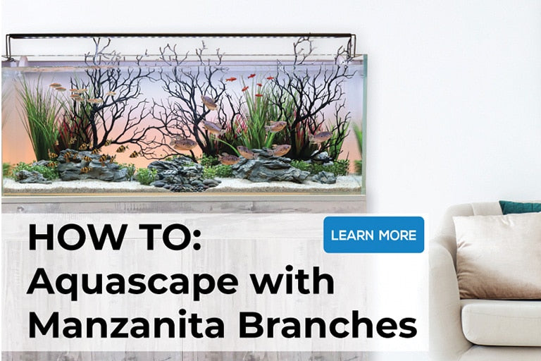 How to Aquascape with Manzanita Branches
