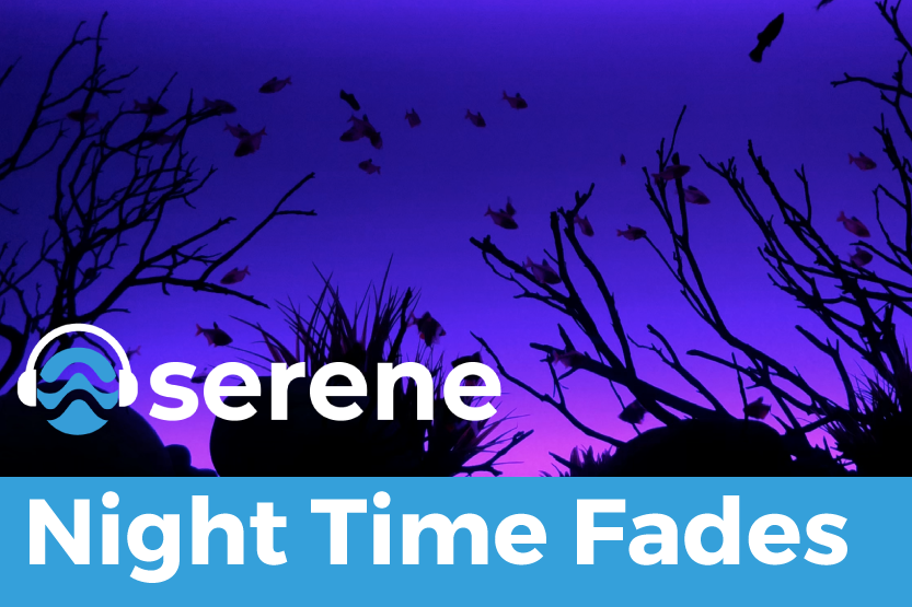 Night Time Fades with the Serene Background LED Aquarium Light