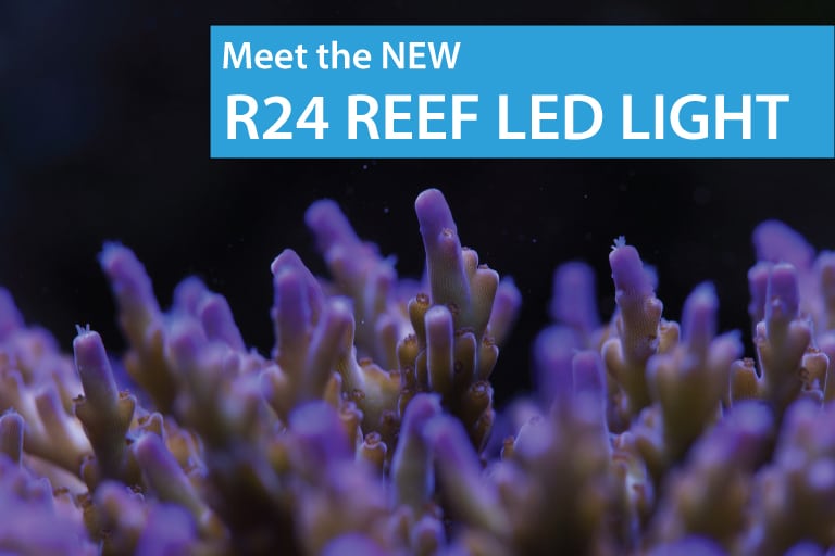 Meet the NEW 95 Watt Orbit R24 Reef LED Light