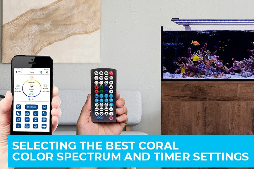 Selecting the Perfect Coral Color Spectrum – Orbit Marine & Orbit IC