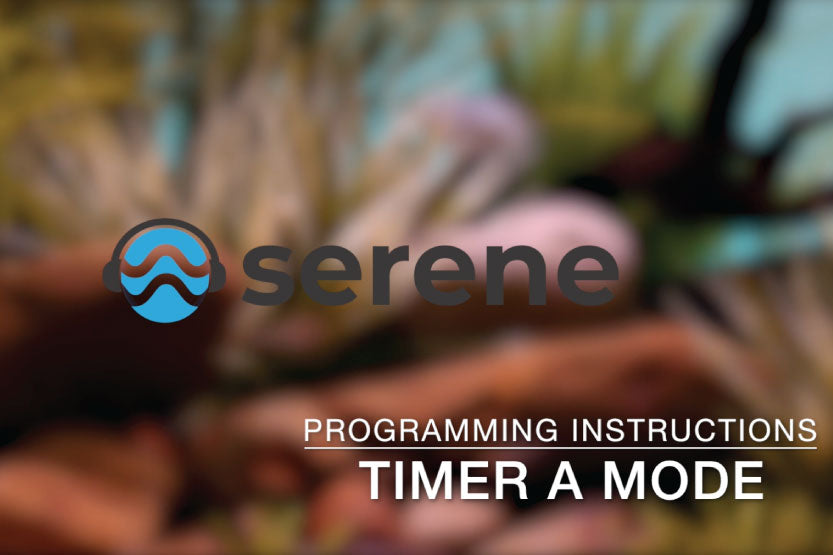 Serene LED Kit – Daily ON/OFF with a Custom Scene Timer A MODE