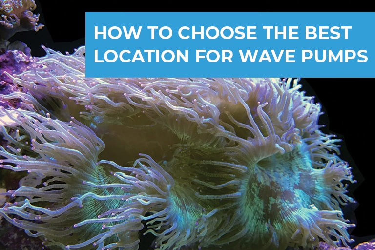 How to Choose the Best Location for Your Wave Pumps