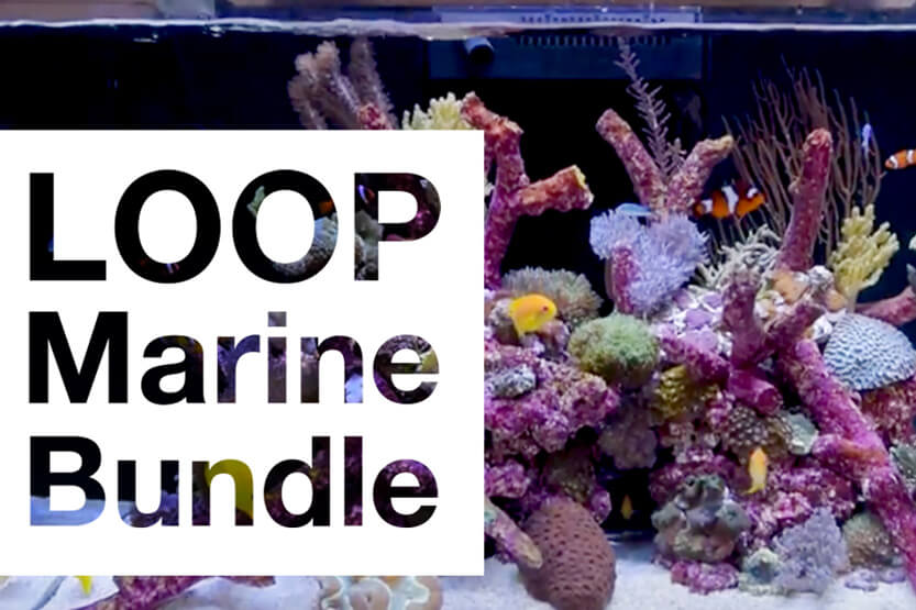 MEET THE LOOP MARINE BUNDLE BY CURRENT-USA