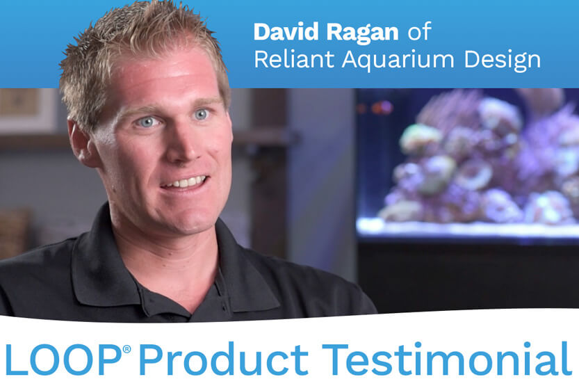 LOOP BUNDLE PRODUCT REVIEW BY DAVID REGAN OF RELIANT AQUARIUM
