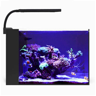 Orbit Marine Nano LED Light w/Gooseneck Mount & Dynamic Controller