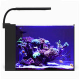Orbit Marine Nano LED Light w/Gooseneck Mount & Dynamic Controller