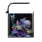 Orbit Marine Nano LED Light w/Gooseneck Mount & Dynamic Controller
