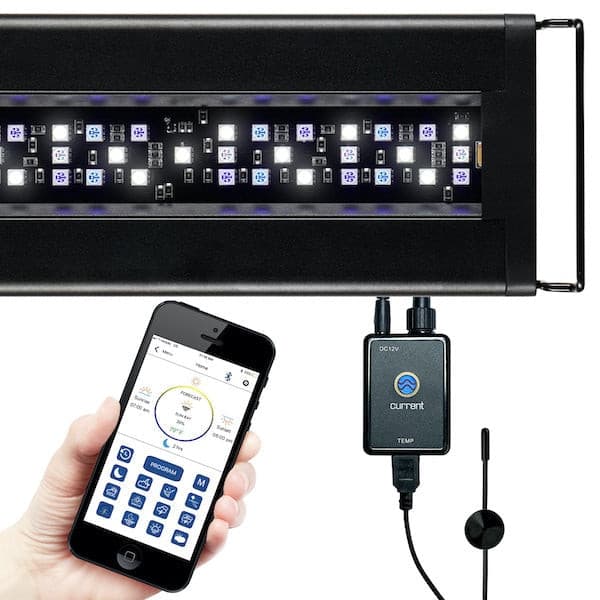 Orbit Marine LED Light with LOOP App Control 24" to 36".