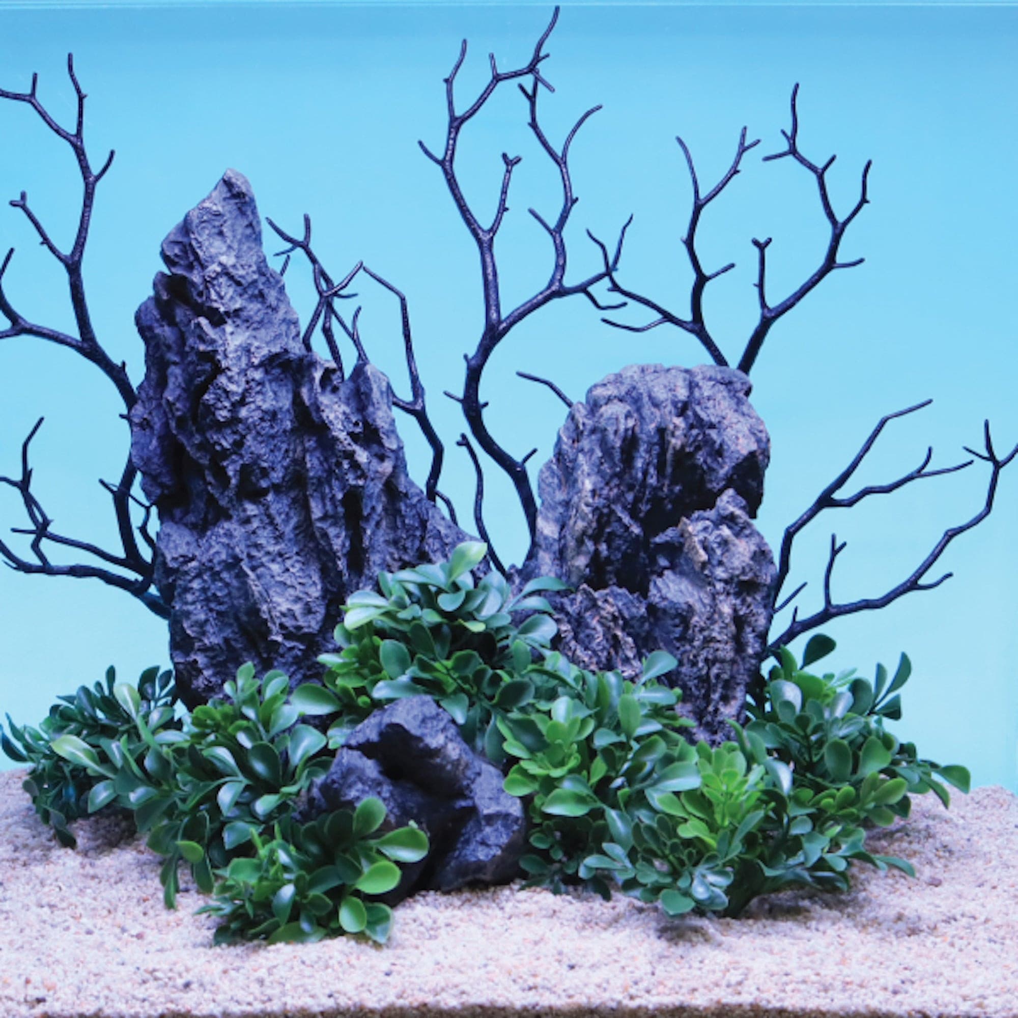 Manzanita Branch Black 12.5" 3 pack.
