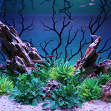 Manzanita Branch Black 12.5" 3 pack.