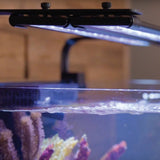 Dual Adjustable LED Light Arm Kit