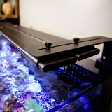 Dual Adjustable LED Light Arm Kit