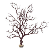 Manzanita Branch River Brown 22