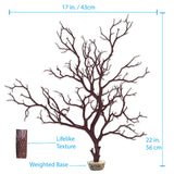 Manzanita Branch River Brown 22" with weighted base.