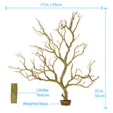 Manzanita Branch Sandy Tan 22" with weighted base.