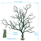 Manzanita Branch Moss Green 22" with Weighted Base.