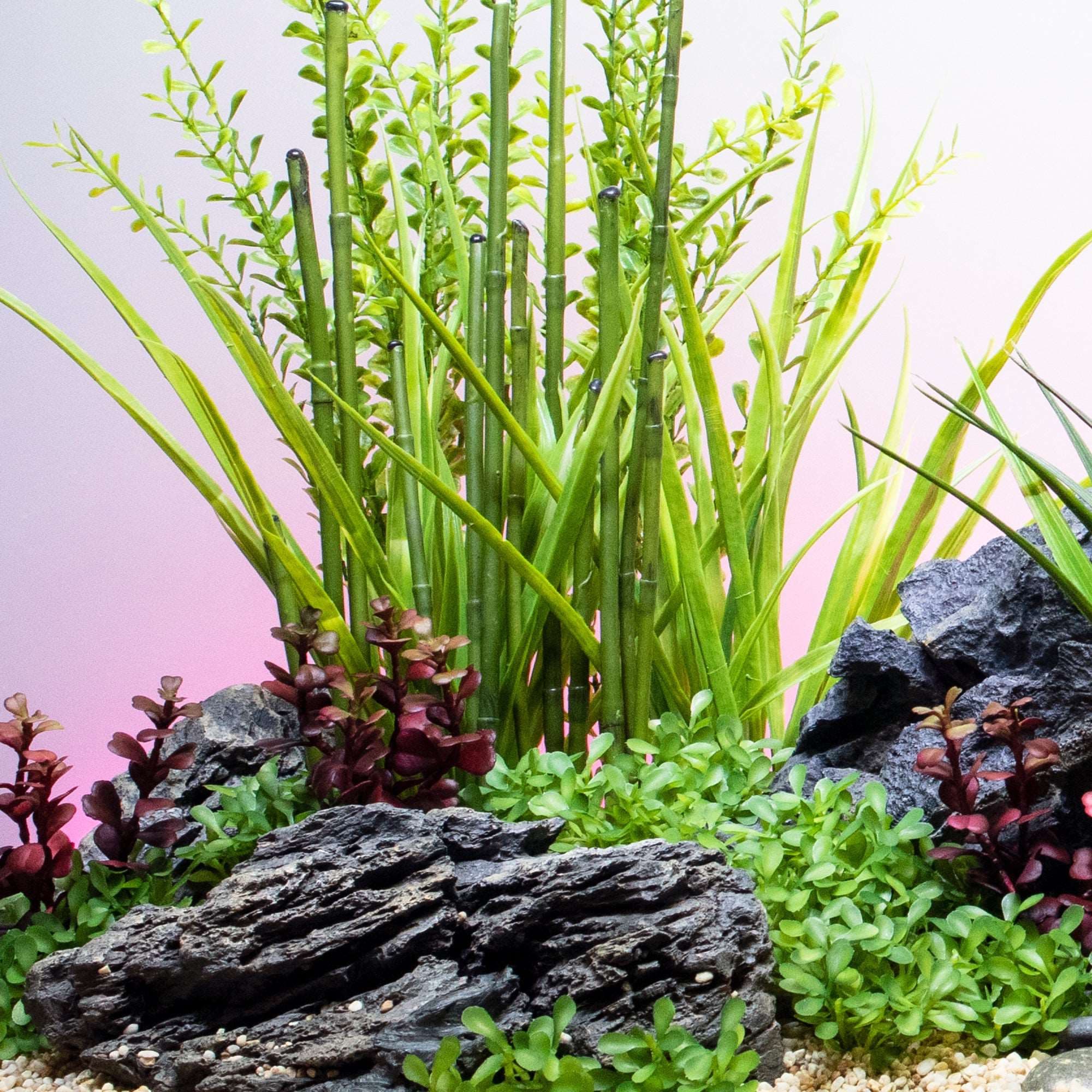 Fountain Grass Light Green with Weighted Base