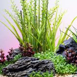Fountain Grass Light Green with Weighted Base