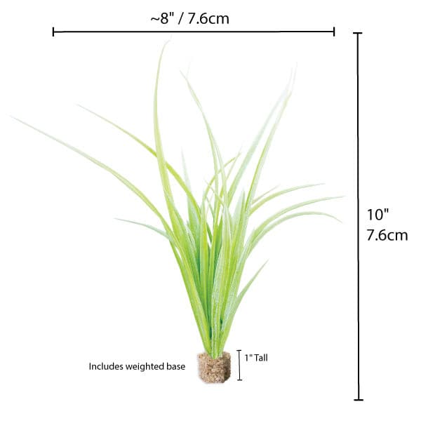 Fountain Grass Light Green with Weighted Base.