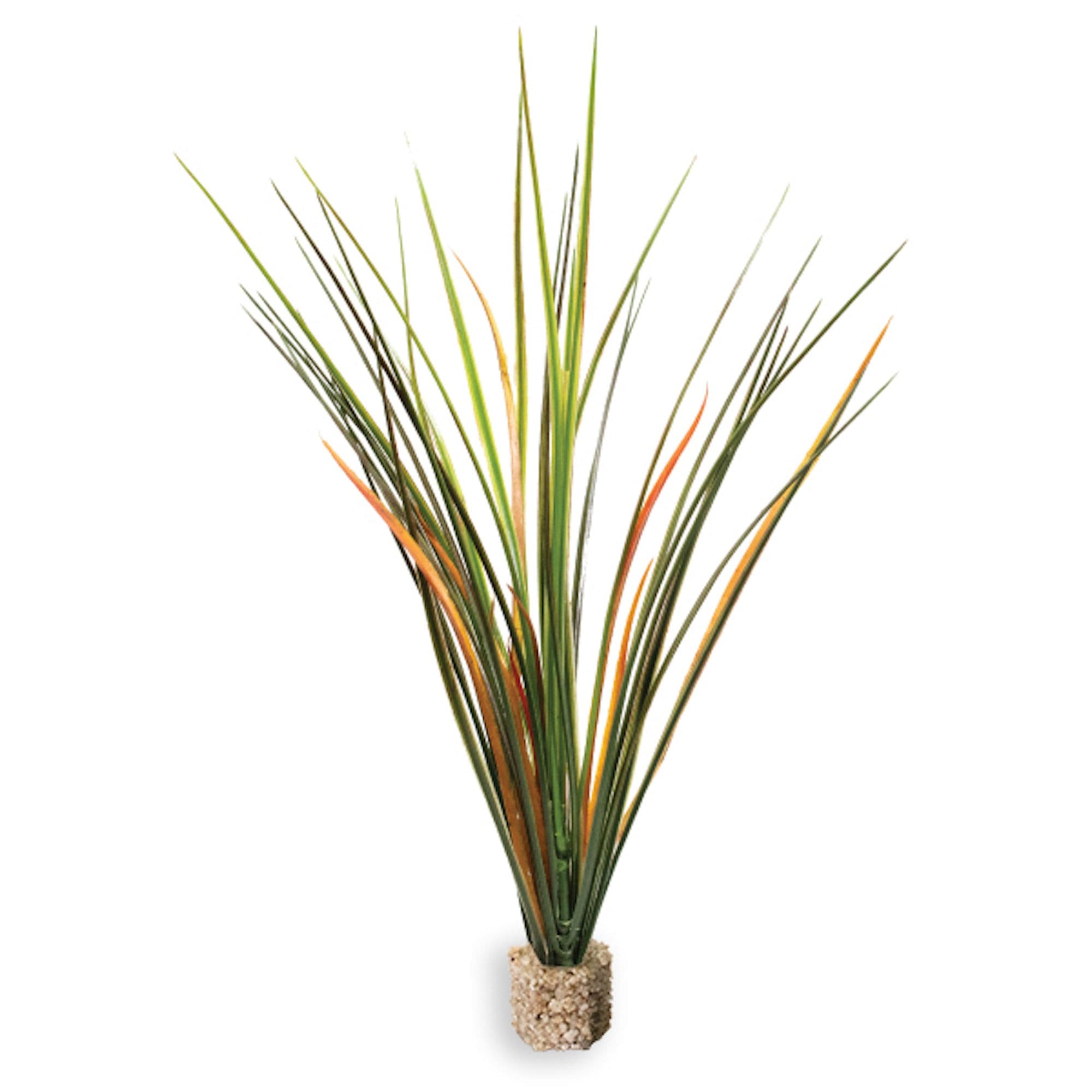 Fountain Grass Medium Green with Weighted Base.
