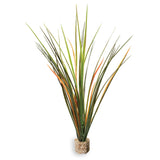 Fountain Grass Medium Green with Weighted Base.