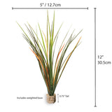 Fountain Grass Medium Green with Weighted Base.