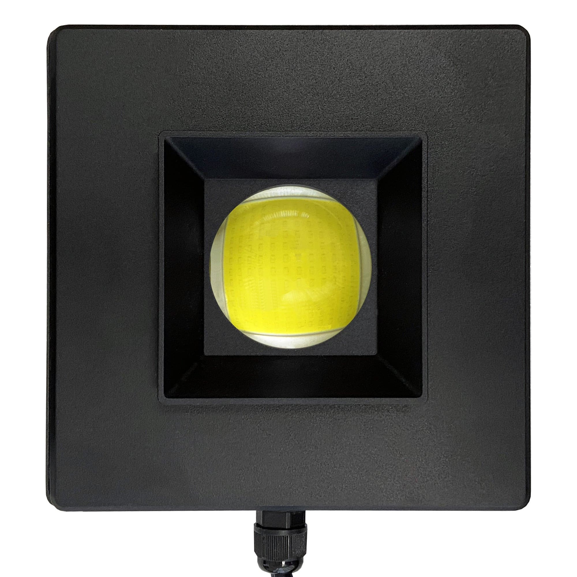 Cannon 80w LED Light 10,000K White
