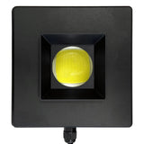 Cannon 80w LED Light 10,000K White
