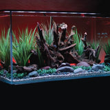 Add-on Background Light Aquarium