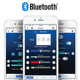 App Screens