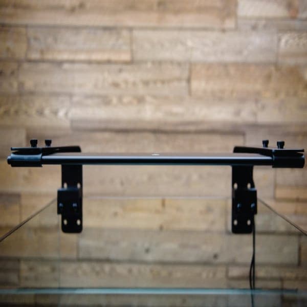 Arms2-600x600