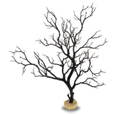 Black Manzanita Branch 22