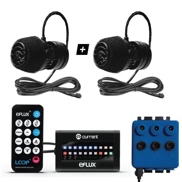 Dual-Kit-2