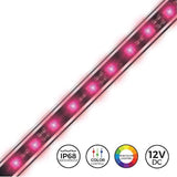 Replacement Serene Background RGB Light 36 inch.