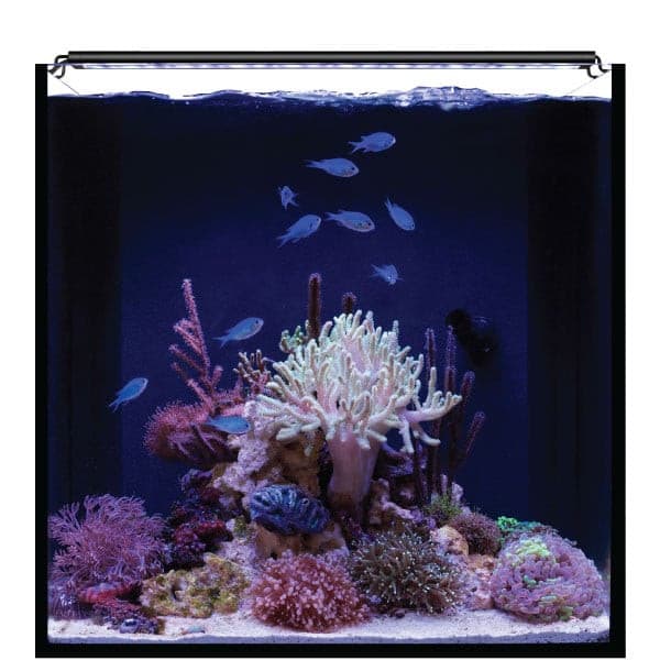 Nano-Reef Orbit IC LED Light and eFlux Wave Pump Bundle 18".