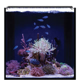 Nano-Reef Orbit IC LED Light and eFlux Wave Pump Bundle 18".