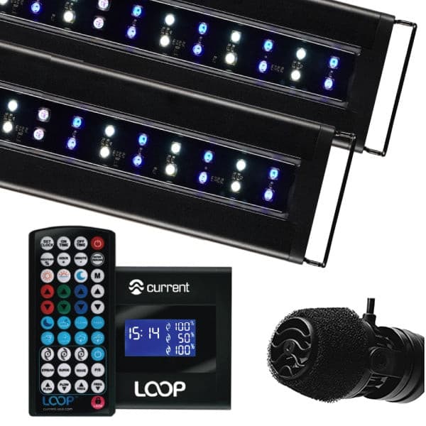 Nano-Reef Orbit IC LED Light and eFlux Wave Pump Bundle 18".