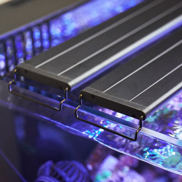 Nano-Reef Orbit IC LED Light and eFlux Wave Pump Bundle 18".