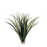 Plant-Med