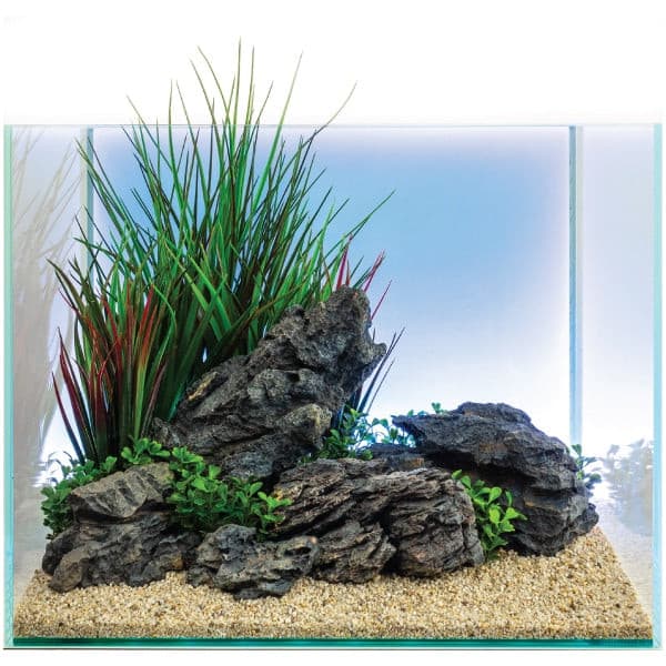 Plant-Scape-1