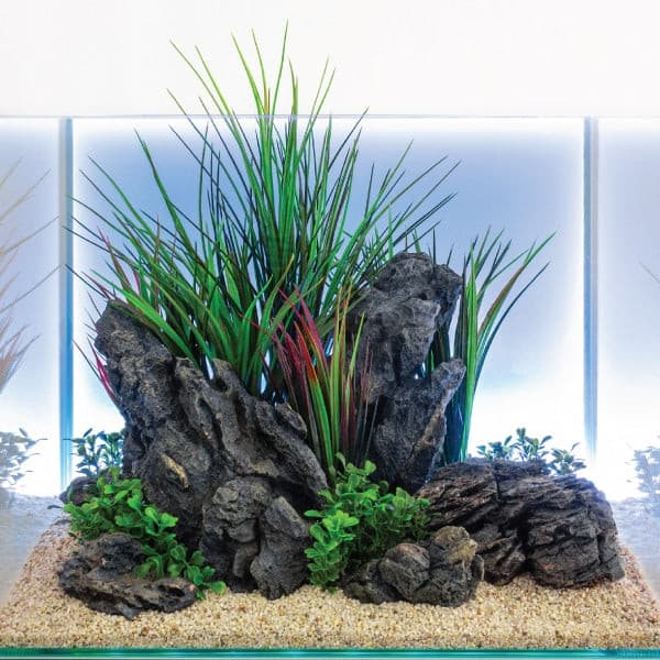 PlantScape2