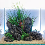 PlantScape2