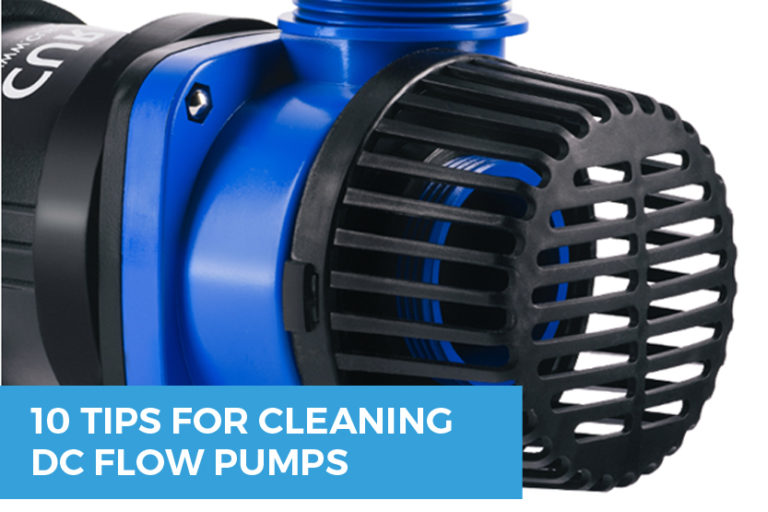 How to Clean Your Aquariums DC Water Flow Pumps in 10 Steps
