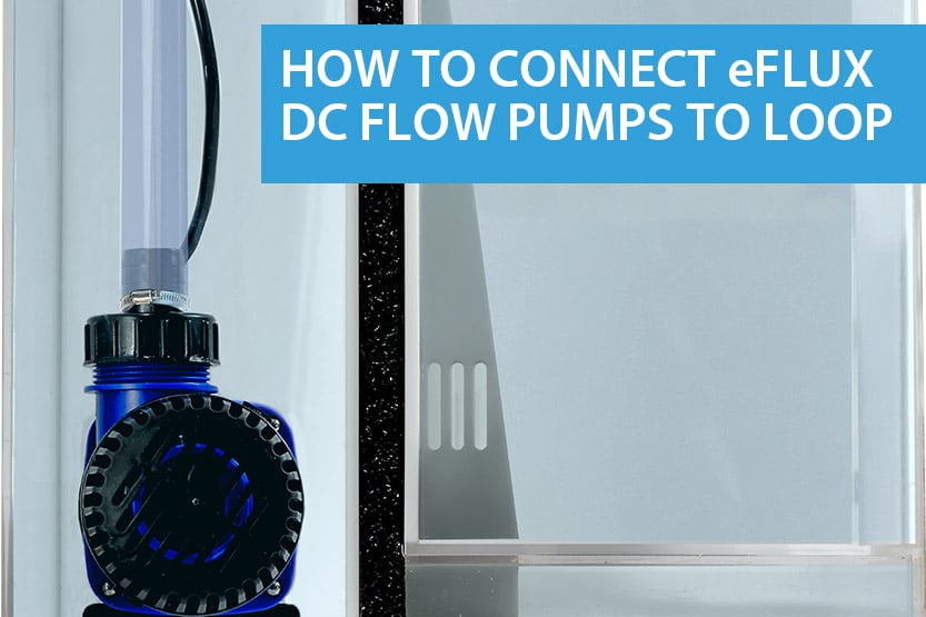 How to connect an eFlux DC Pump to LOOP Controllers