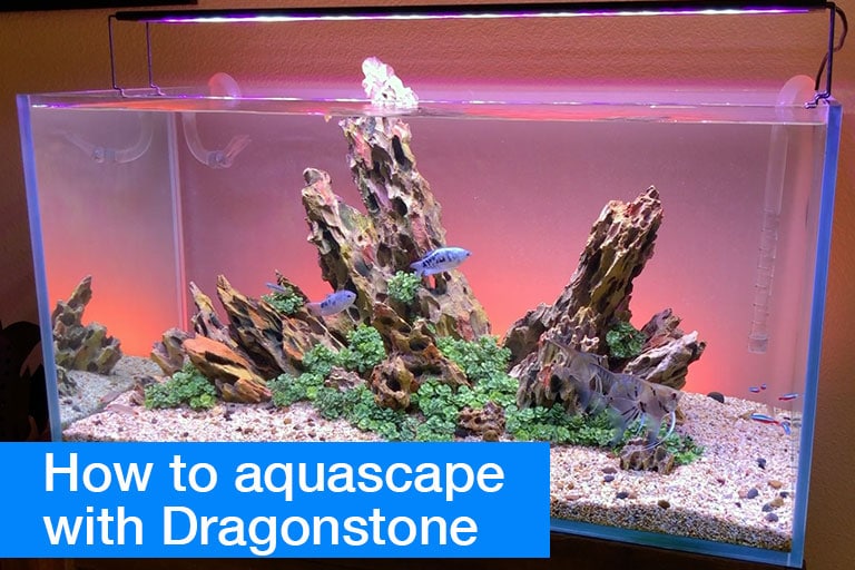 Aquascaping Tips - How to add depth and direction using Dragonstone