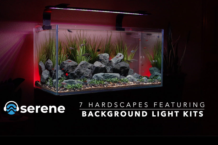 Aquascapes by ADG using the new Serene Background Light Kit