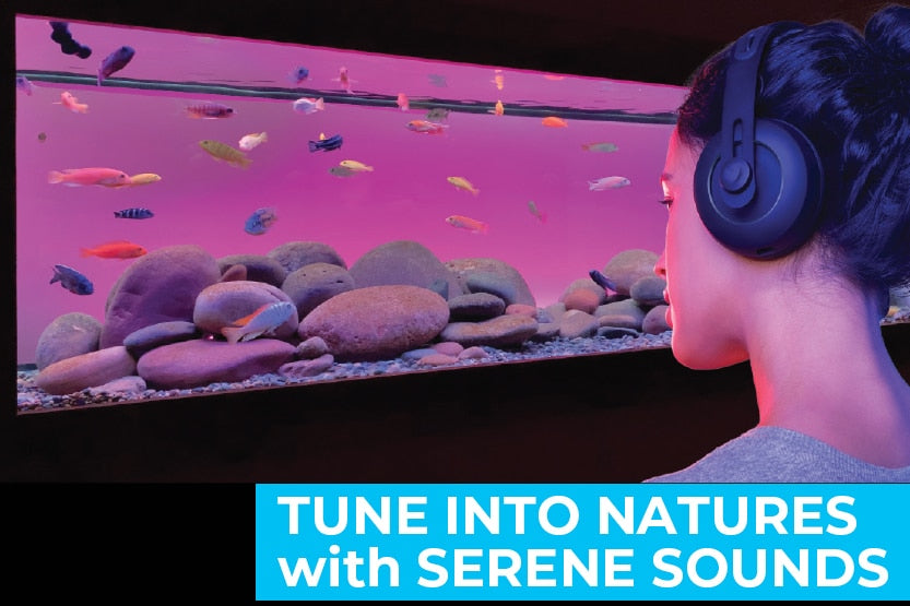 Tune Into Nature with Serene Sounds