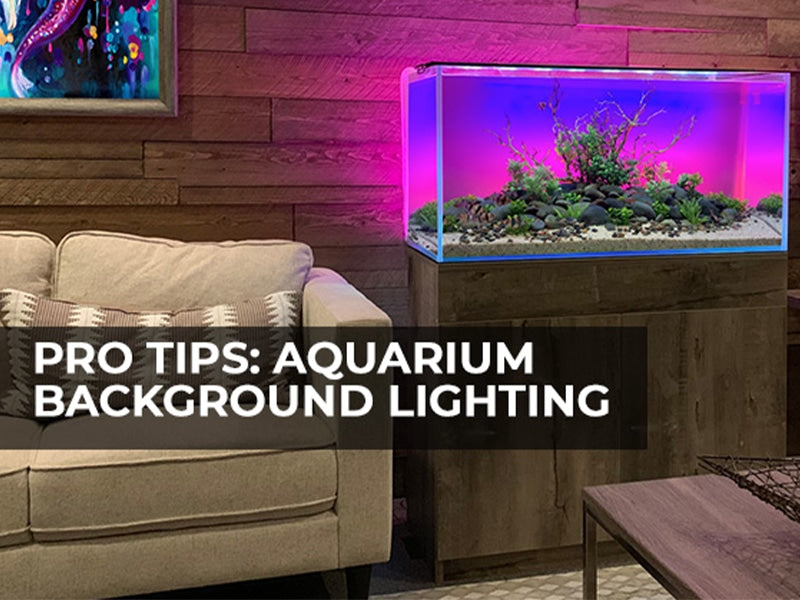 Top Pro Tips for Installing Background LED Lights